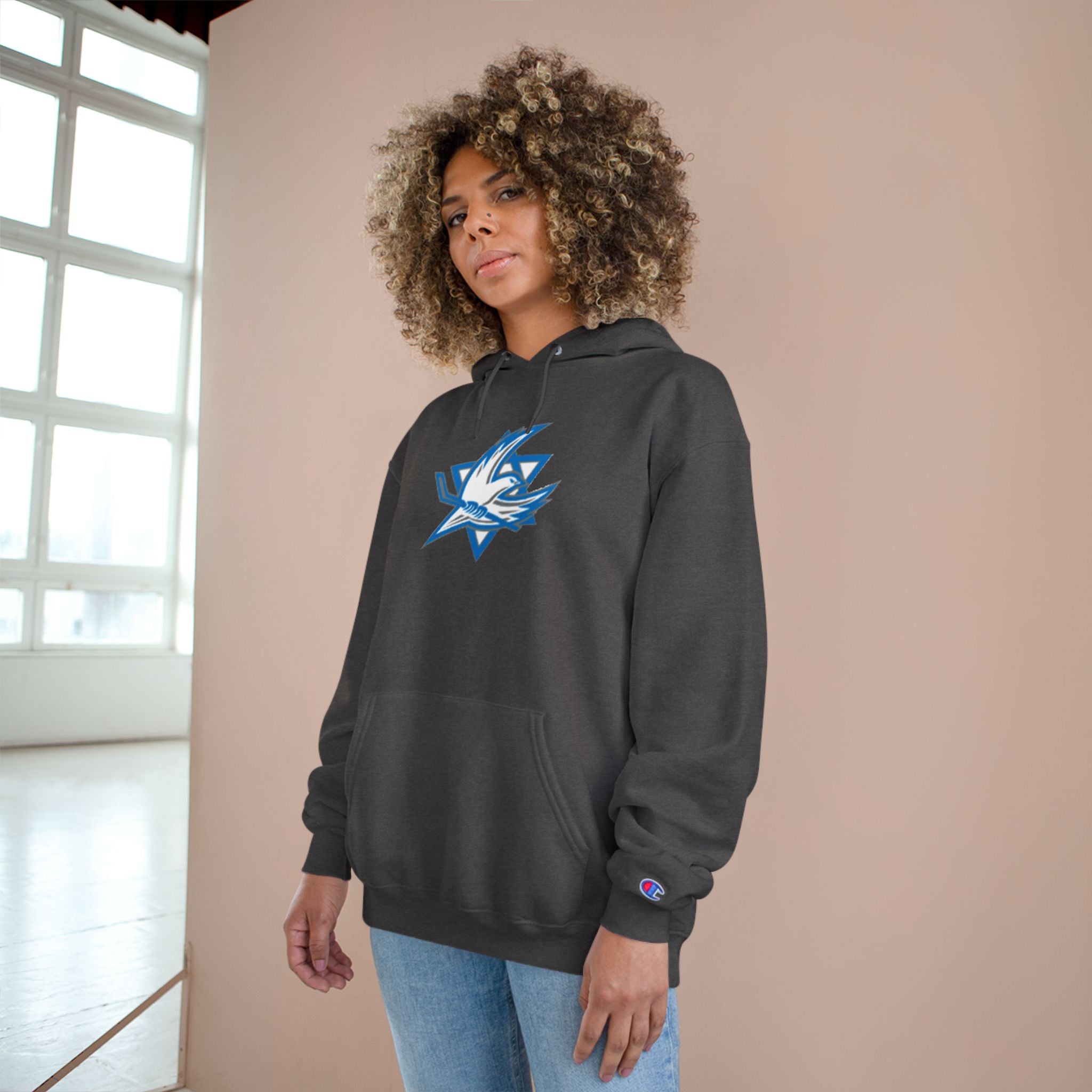 🇮🇱🏒 Team Israel Hockey Champion Hoodie 🧥
