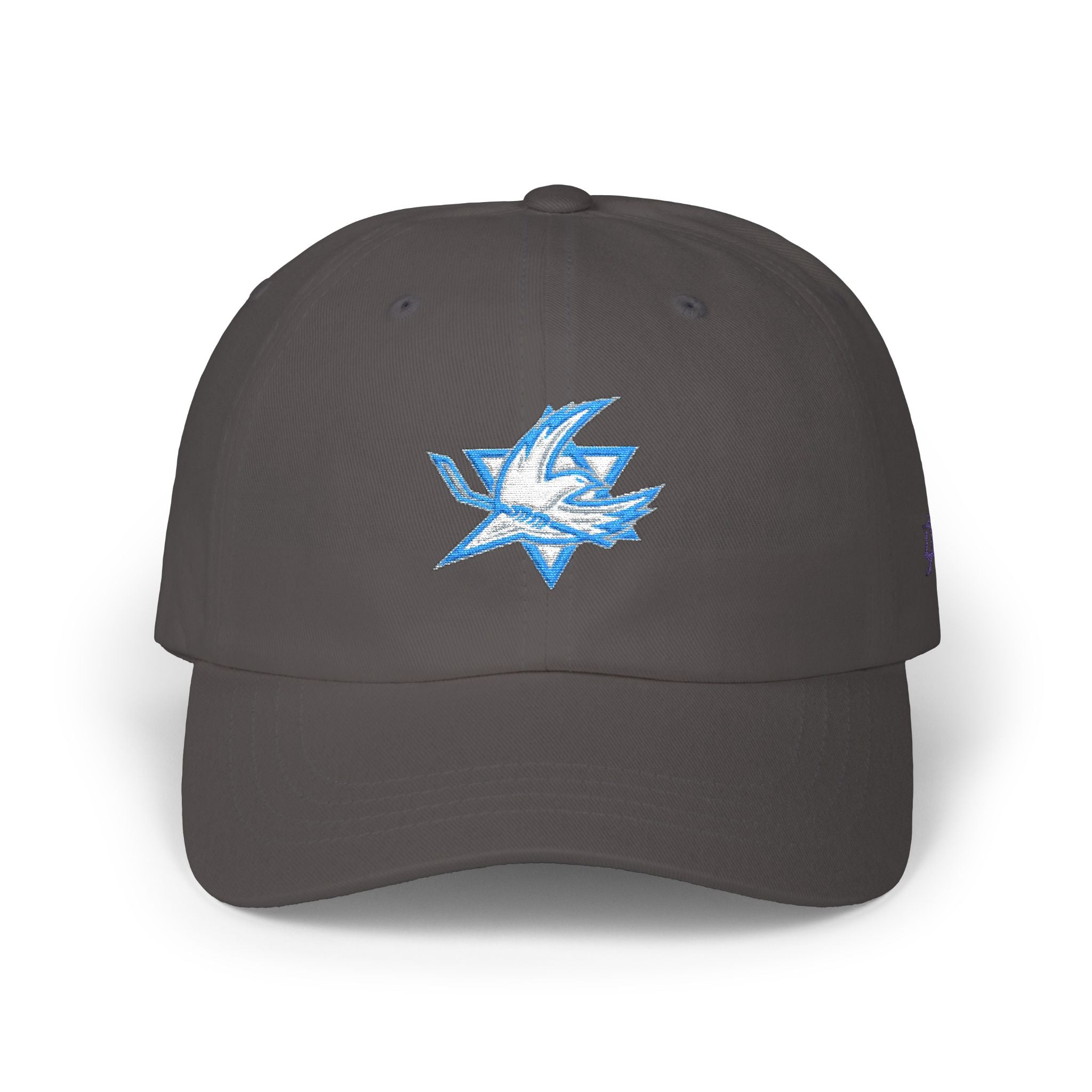 🇮🇱 Team Israel Hockey Classic Dad Cap 🧢🏒