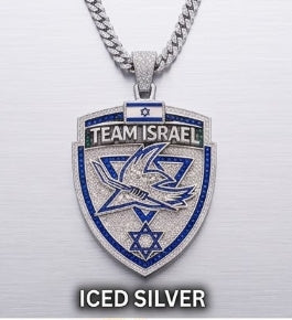 🇮🇱🏒 Team Israel Shield Pendant Collection ✡️