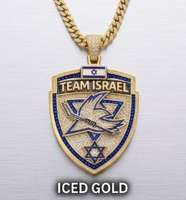 🇮🇱🏒 Team Israel Shield Pendant Collection ✡️