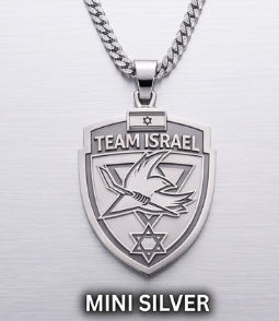 🇮🇱🏒 Team Israel Shield Pendant Collection ✡️